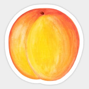 Peach  ~ Watercolor Fruit Painting Sticker